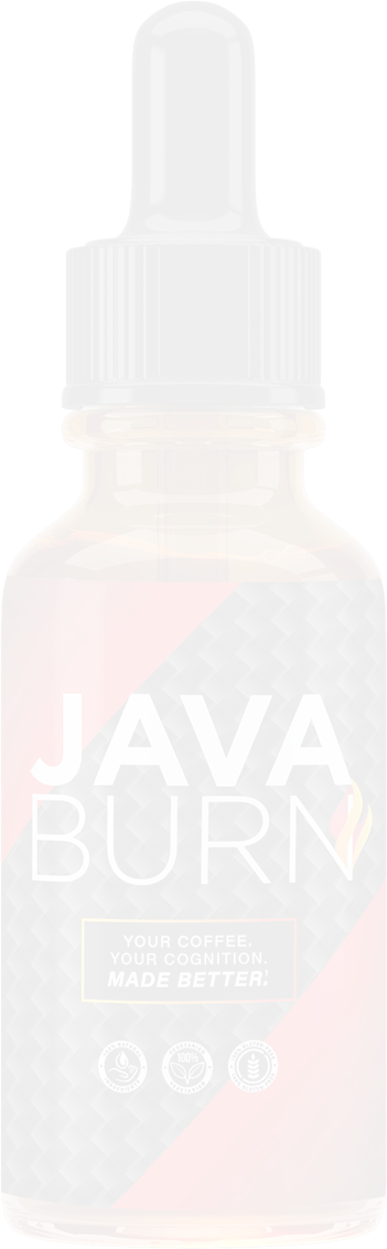 Java Burn 2.0 - Introdução