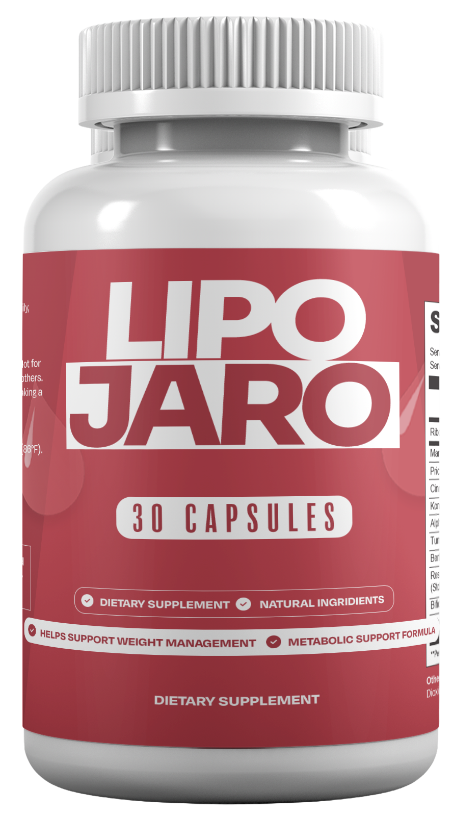 LipoJaro - Introdução