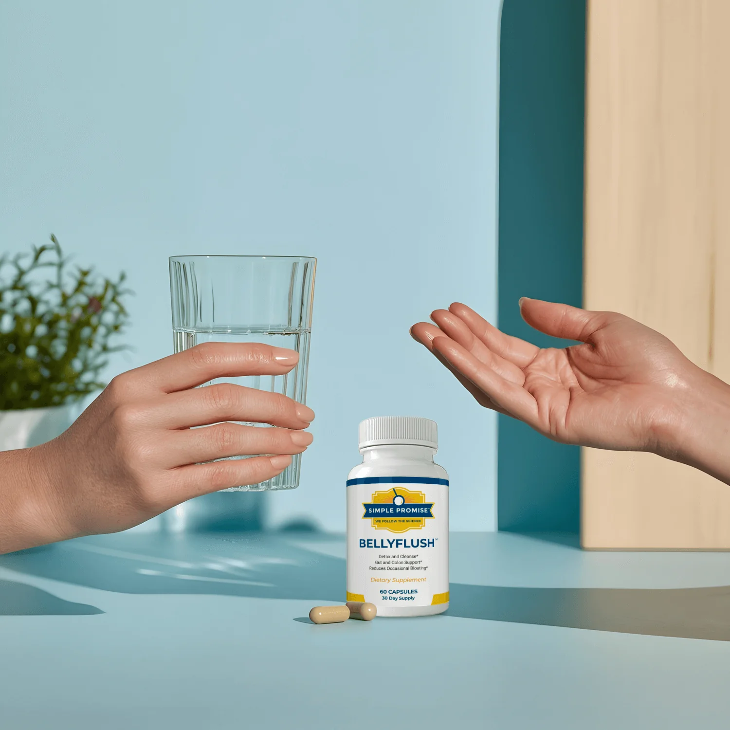  BellyFlush - O que é