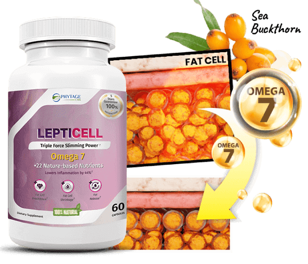 LeptiCell - Introdução