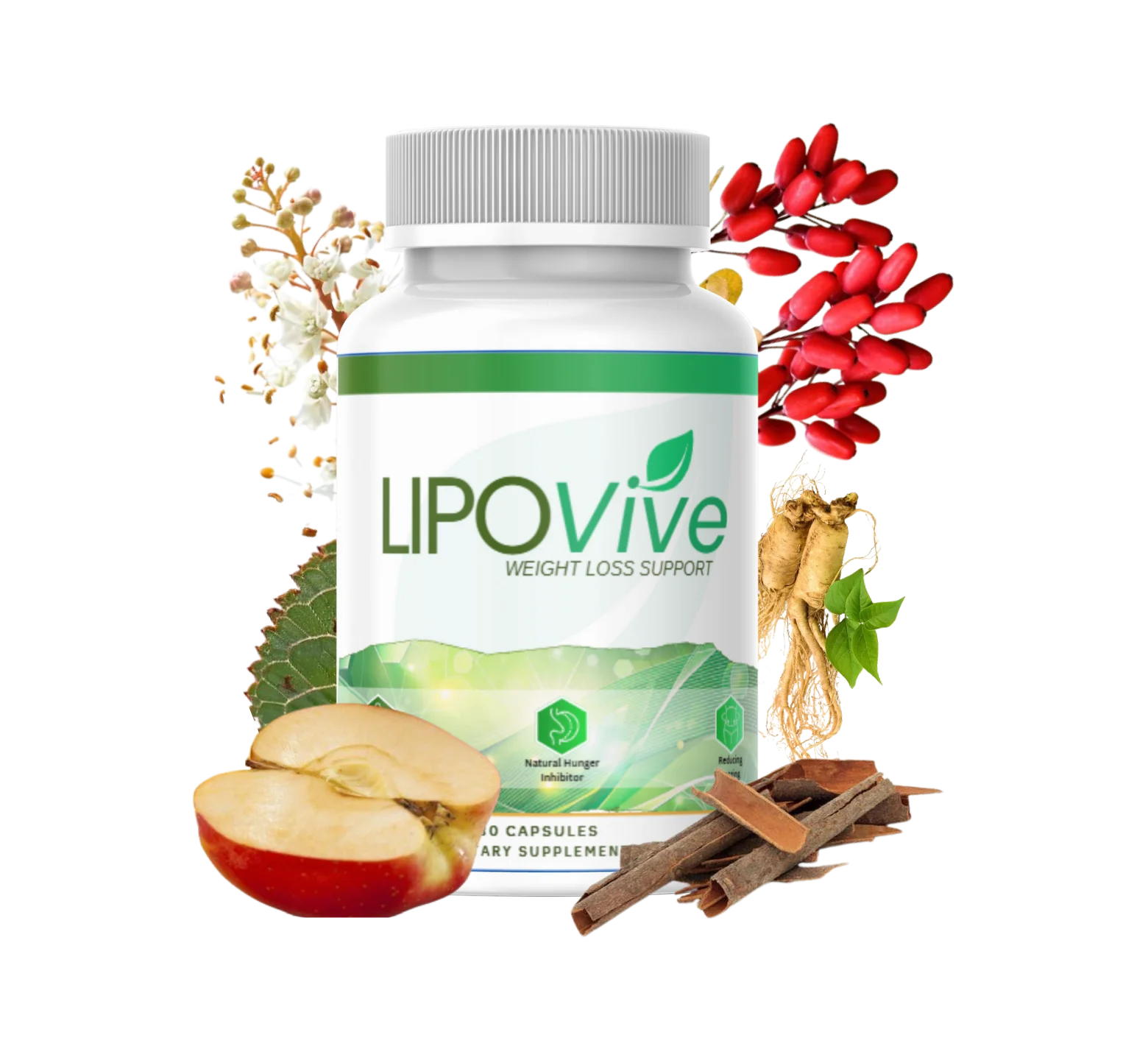 Lipovive - Ainda Vale a Pena