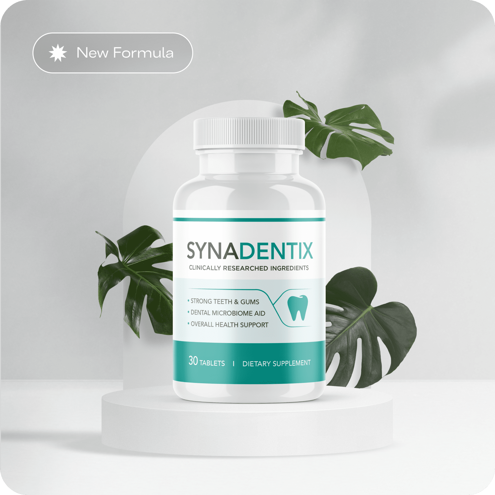 Synadentix - Introdução