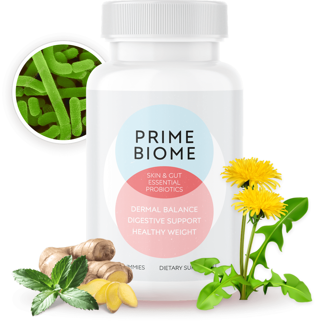 Transform Your Skin and Gut with PrimeBiome Probiotic Gummies for a brighter, younger-looking complexion