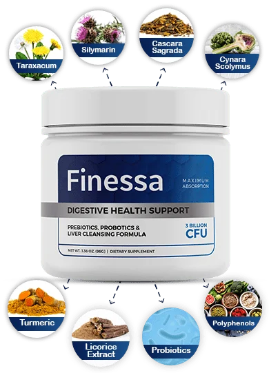 Finessa - Introdução