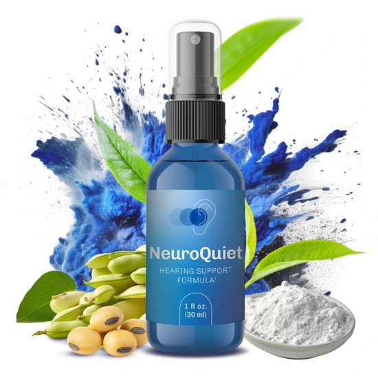 NeuroQuiet Review - Introdução