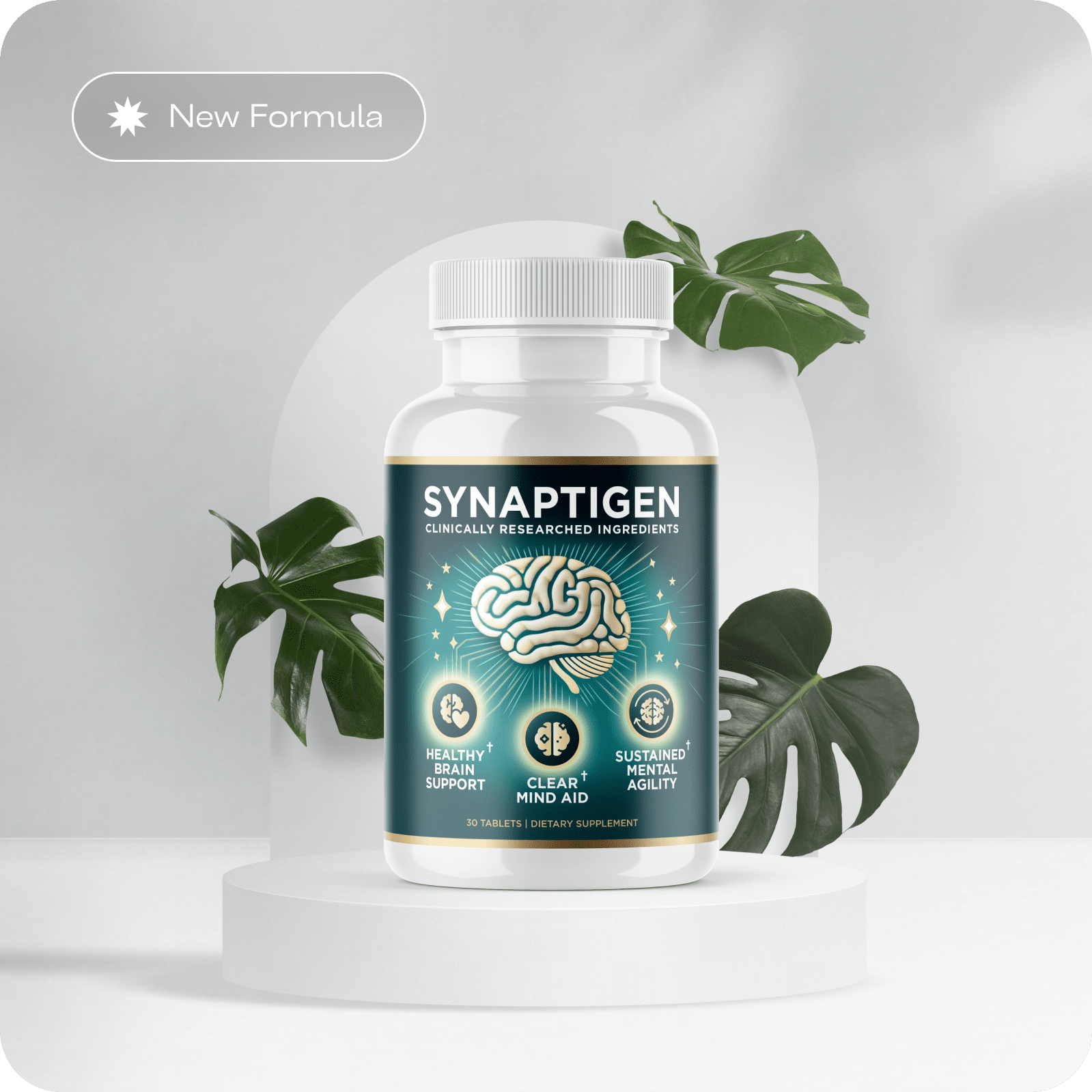 Synaptigen Review - Introdução